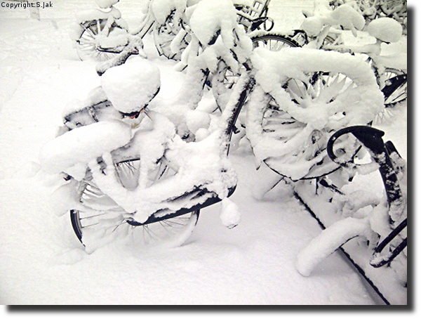 Dik pak sneeuw bij fietsenstalling Station Ede op 7 december 2012